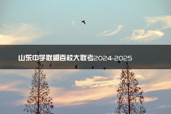 山东中学联盟百校大联考2024-2025学年高三上12月学情诊断试题及答案汇总