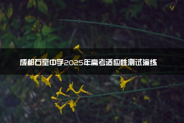 成都石室中学2025年高考适应性测试演练八省联考模拟试题及答案汇总