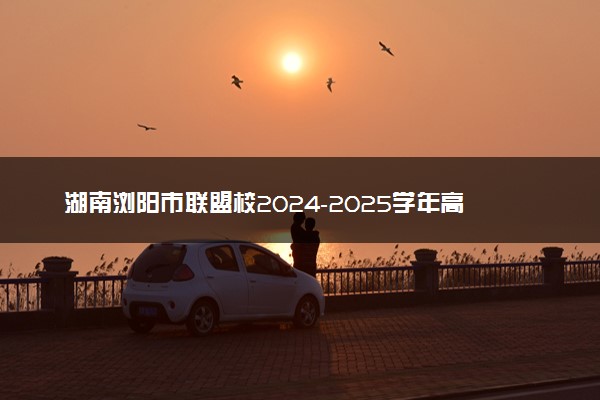 湖南浏阳市联盟校2024-2025学年高三上学期12月联考试题及答案汇总