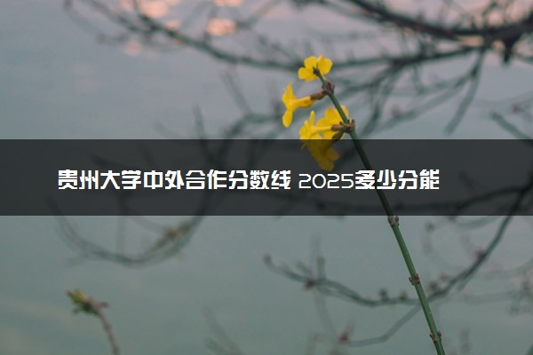 贵州大学中外合作分数线 2025多少分能录取