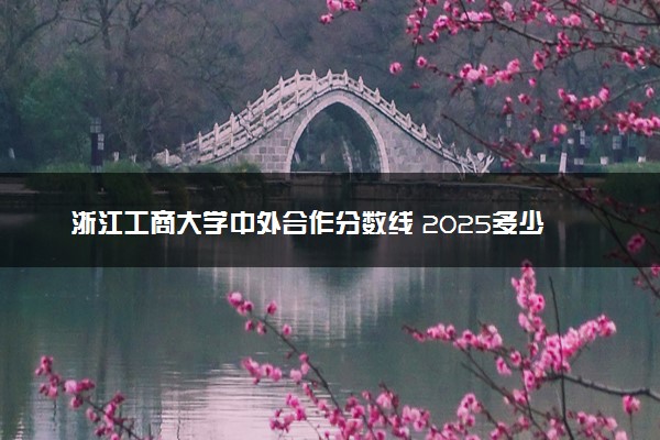 浙江工商大学中外合作分数线 2025多少分能录取