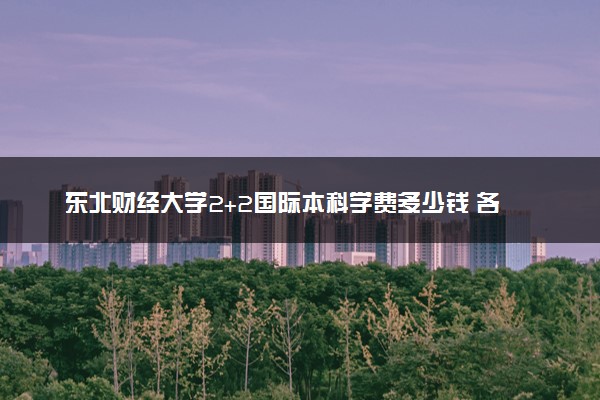 东北财经大学2+2国际本科学费多少钱 各专业收费标准