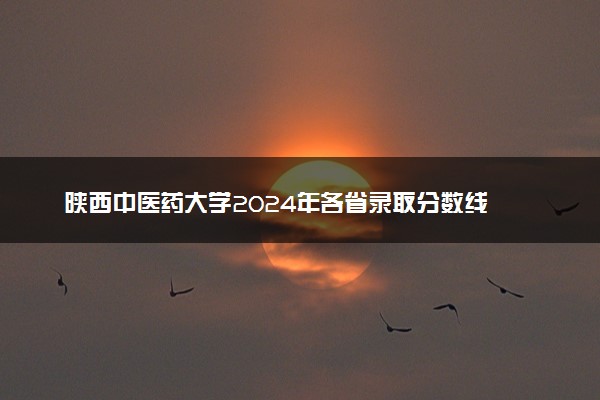 陕西中医药大学2024年各省录取分数线 多少分能考上