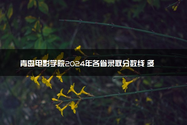 青岛电影学院2024年各省录取分数线 多少分能考上