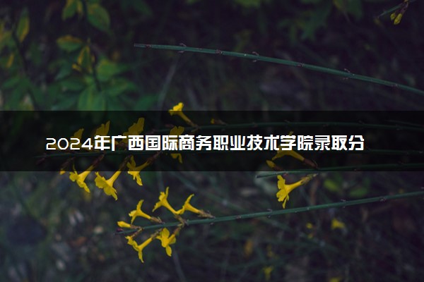 2024年广西国际商务职业技术学院录取分数线是多少 各省最低分数线及位次