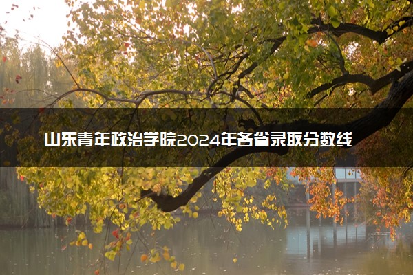 山东青年政治学院2024年各省录取分数线 多少分能考上