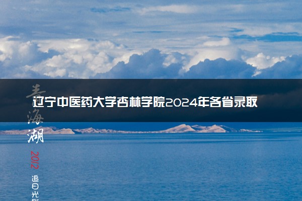 辽宁中医药大学杏林学院2024年各省录取分数线 多少分能考上