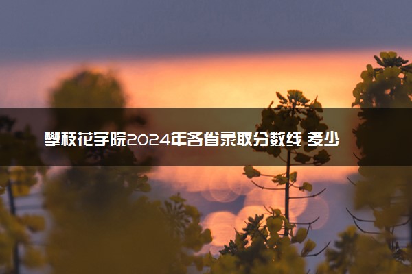 攀枝花学院2024年各省录取分数线 多少分能考上