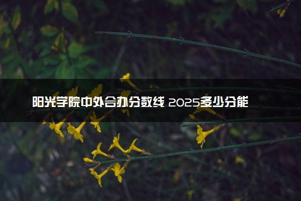 阳光学院中外合办分数线 2025多少分能录取