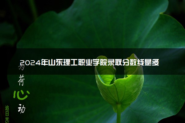 2024年山东理工职业学院录取分数线是多少 各省最低分数线及位次