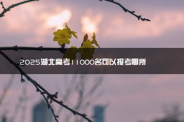 2025湖北高考11000名可以报考哪所大学 能上什么好大学