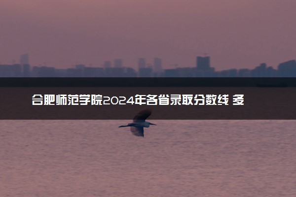 合肥师范学院2024年各省录取分数线 多少分能考上