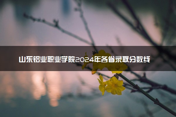 山东铝业职业学院2024年各省录取分数线 多少分能考上