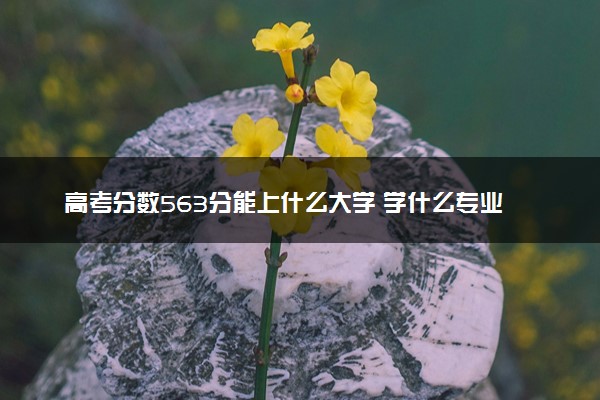 高考分数563分能上什么大学 学什么专业好