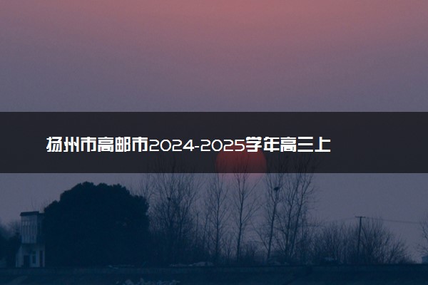 扬州市高邮市2024-2025学年高三上学期12月月考试题及答案汇总