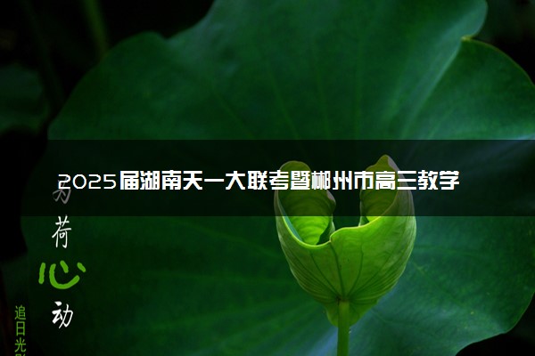 2025届湖南天一大联考暨郴州市高三教学质量检测试题及答案汇总