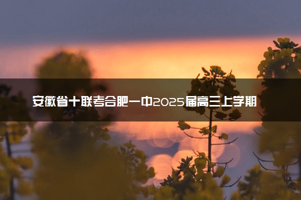 安徽省十联考合肥一中2025届高三上学期阶段性诊断检测试题及答案汇总