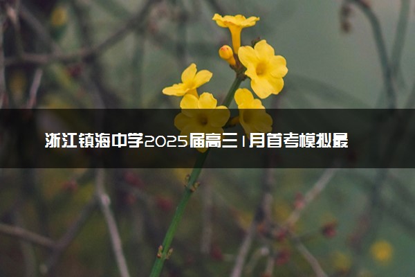 浙江镇海中学2025届高三1月首考模拟最后一卷试题及答案汇总