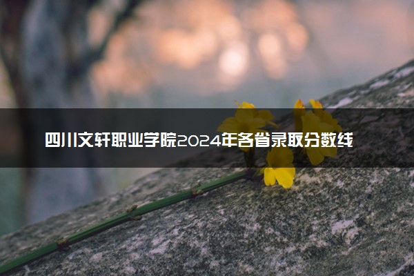 四川文轩职业学院2024年各省录取分数线 多少分能考上