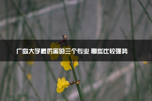 广岛大学最厉害的三个专业 哪些比较强势