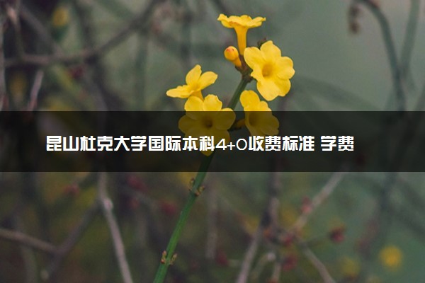 昆山杜克大学国际本科4+0收费标准 学费多少钱