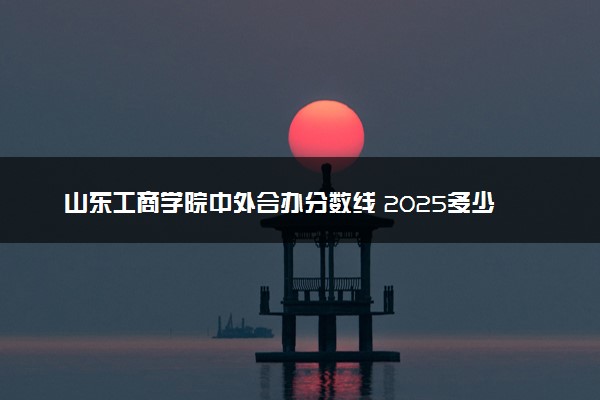 山东工商学院中外合办分数线 2025多少分能录取