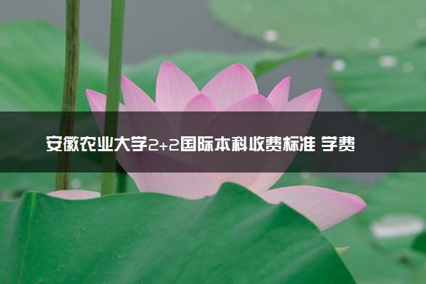 安徽农业大学2+2国际本科收费标准 学费多少钱