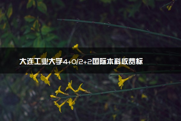 大连工业大学4+0/2+2国际本科收费标准 学费多少钱