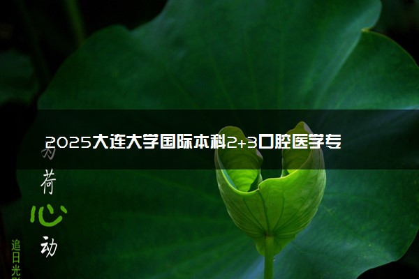 2025大连大学国际本科2+3口腔医学专家学位项目招生简章