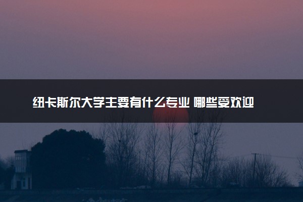 纽卡斯尔大学主要有什么专业 哪些受欢迎