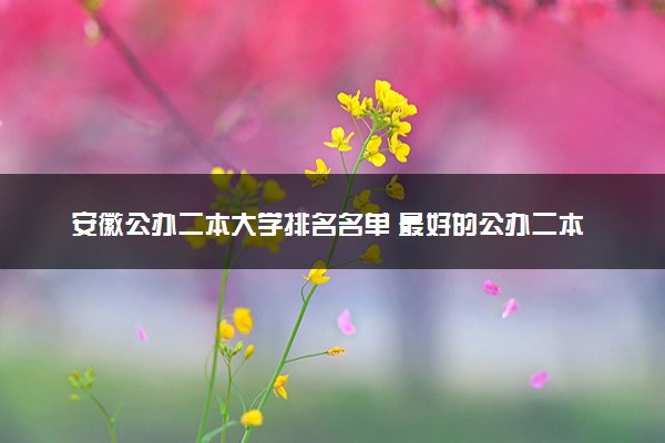 安徽公办二本大学排名名单 最好的公办二本院校（2025年参考）