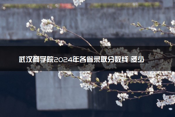 武汉商学院2024年各省录取分数线 多少分能考上