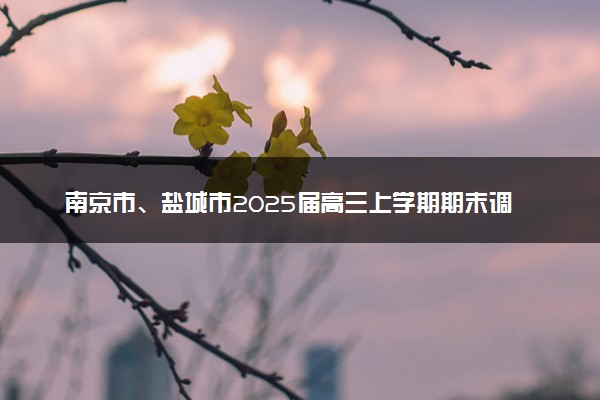 南京市、盐城市2025届高三上学期期末调研测试试题及答案汇总