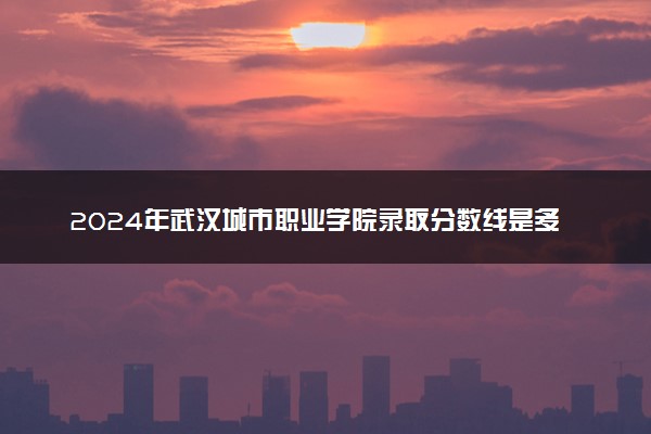 2024年武汉城市职业学院录取分数线是多少 各省最低分数线及位次