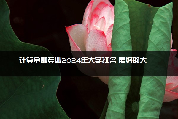 计算金融专业2024年大学排名 最好的大学排行榜