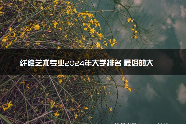 纤维艺术专业2024年大学排名 最好的大学排行榜