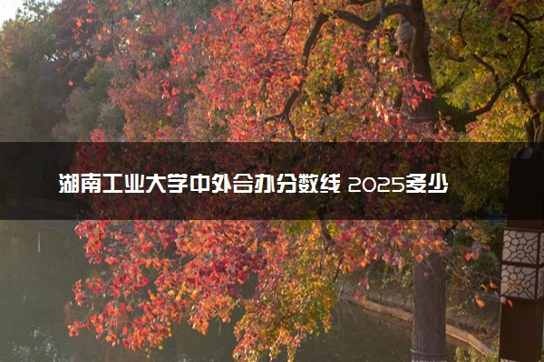 湖南工业大学中外合办分数线 2025多少分能录取