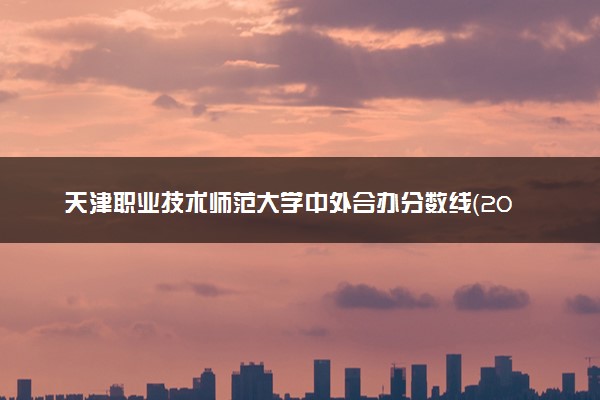 天津职业技术师范大学中外合办分数线（2025参考）