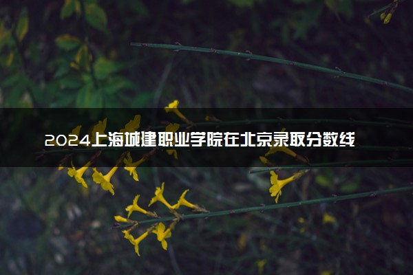 2024上海城建职业学院在北京录取分数线 各专业分数及位次