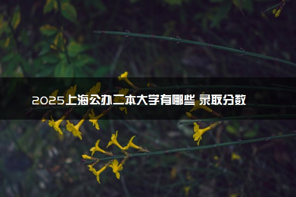 2025上海公办二本大学有哪些 录取分数线是多少