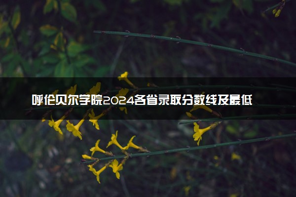 呼伦贝尔学院2024各省录取分数线及最低位次是多少