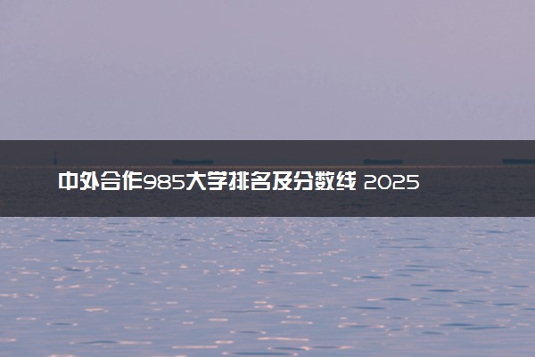 中外合作985大学排名及分数线 2025多少分能考上