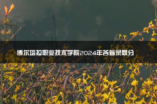 博尔塔拉职业技术学院2024年各省录取分数线 多少分能考上