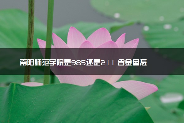 南阳师范学院是985还是211 含金量怎么样