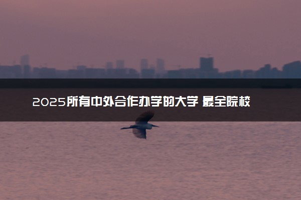 2025所有中外合作办学的大学 最全院校名单汇总