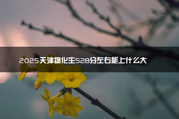 2025天津物化生528分左右能上什么大学 可以报考的院校名单