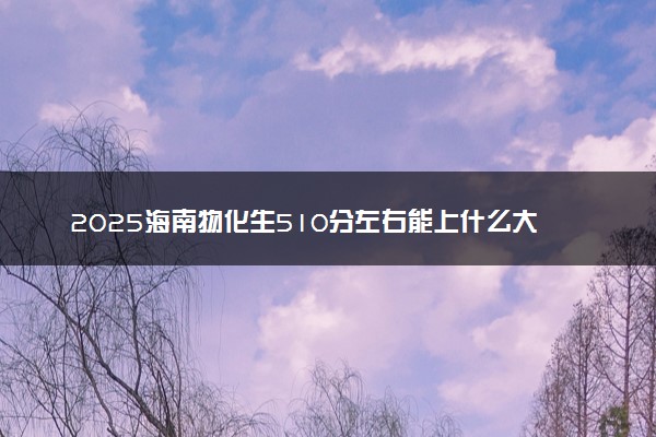 2025海南物化生510分左右能上什么大学 可以报考的院校名单