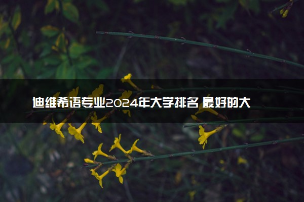 迪维希语专业2024年大学排名 最好的大学排行榜