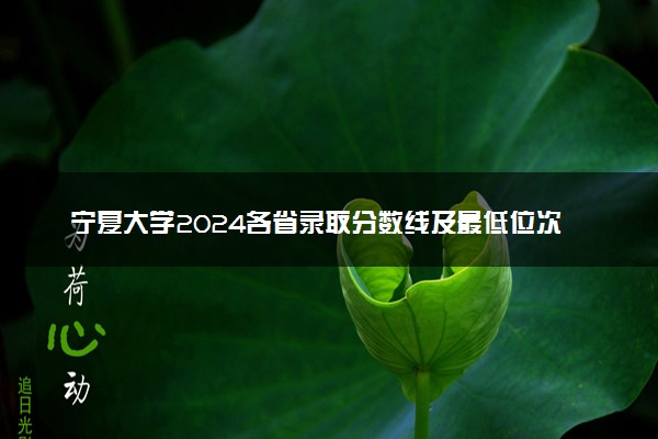 宁夏大学2024各省录取分数线及最低位次是多少