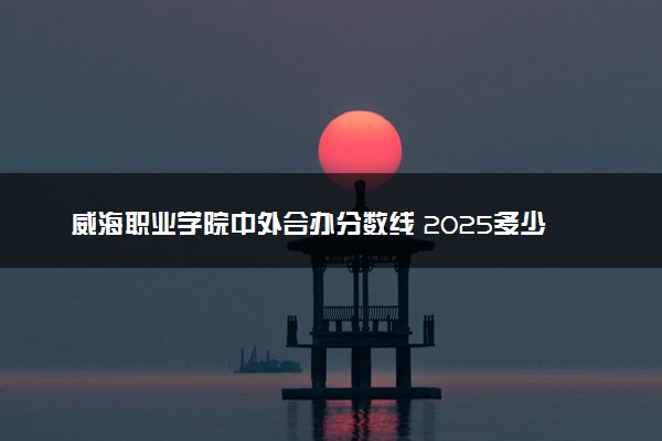 威海职业学院中外合办分数线 2025多少分能录取